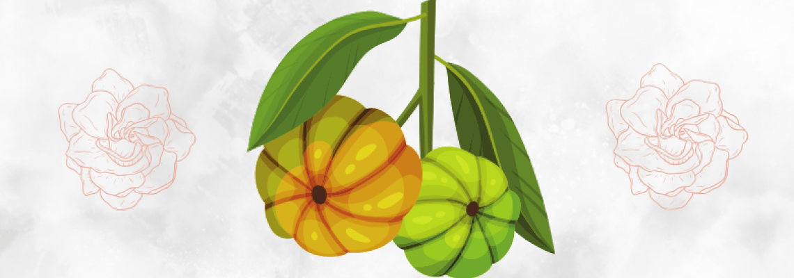 Wholesale Garcinia Cambogia