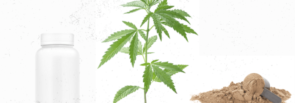 Wholesale hemp protein powder